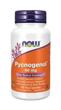 Picture of NOW Pycnogenol, 60 mg, 50 vcaps