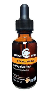 Picture of Cedar Bear Astragalus Root, 1 fl oz